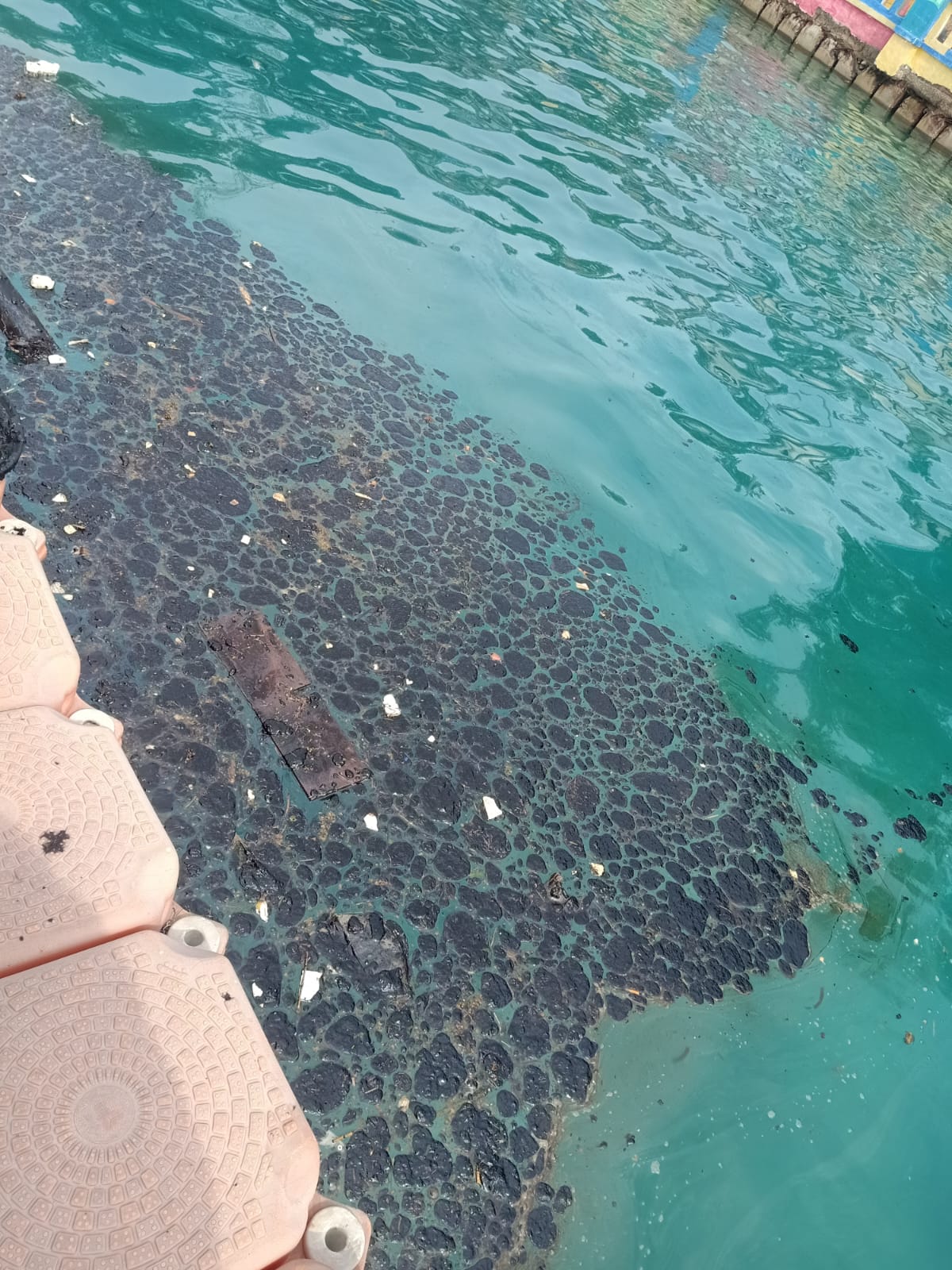 Dikepung Limbah Tarbal/minyak mentah Pantai Selatan Kawasan Konservasi Pulau Kelapa dan Harapan Tercemar